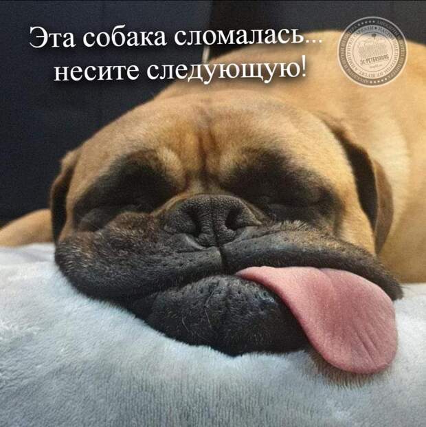 Сломалась