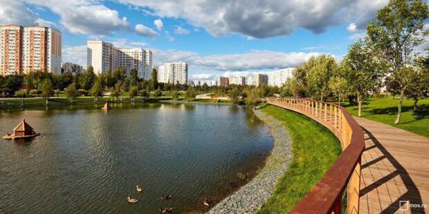 Собянин открыл благоустроенный ландшафтный парк в Южном Бутове/ Фото mos.ru