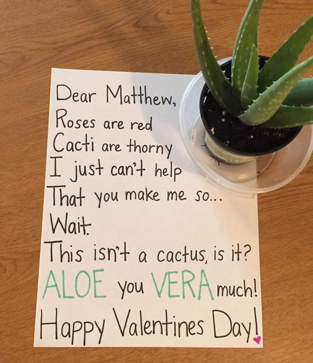 I'm New To Having An So On Valentine's Day... Am I Doing This Right?
