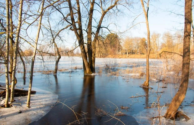 В Подмосковье объявили оранжевый уровень опасности из-за половодья