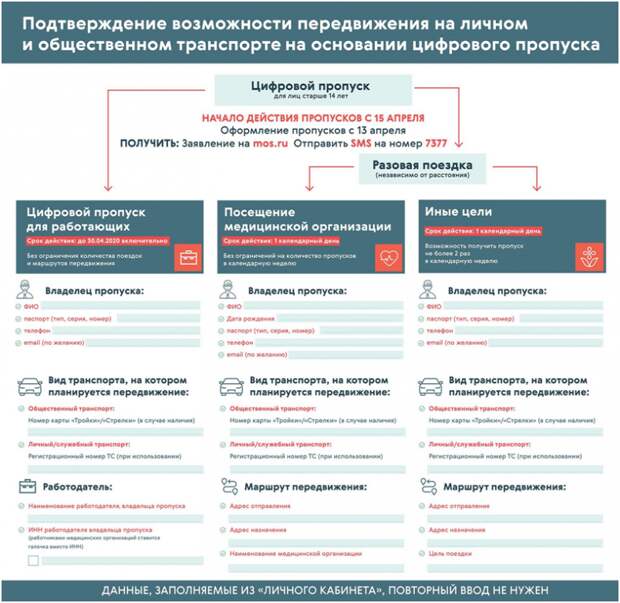 цифровой пропуск.png