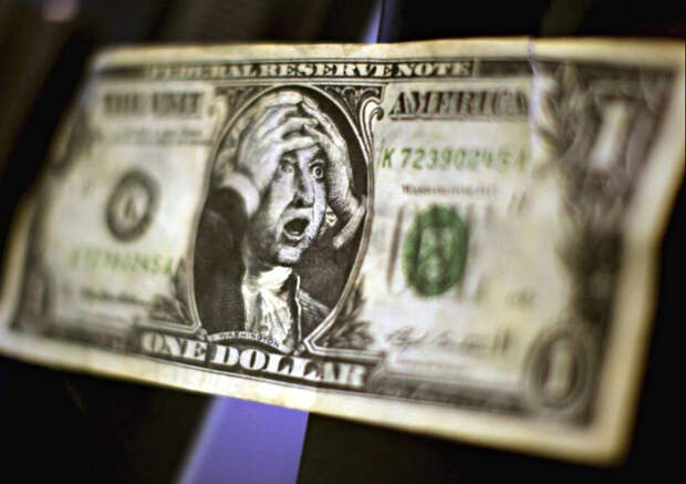 фото: politeka.net. Доллары, как выясняется, не такие уж и долгожители.