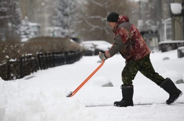 Врач Батищева рассказала, как уборка снега заменяет фитнес и пробежку