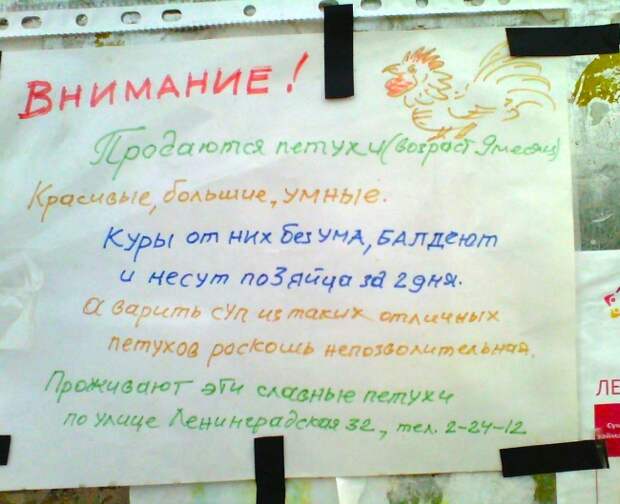 20 гениальных объявлений, которые нельзя обойти вниманием. 20 гениальных объявлений, которые нельзя обойти вниманием.
