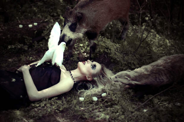 Reincarnation-by-Antonina-Dolani-DesignSceneNet-03