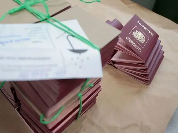 Граждане Украины чаще других получали гражданство России с начала года