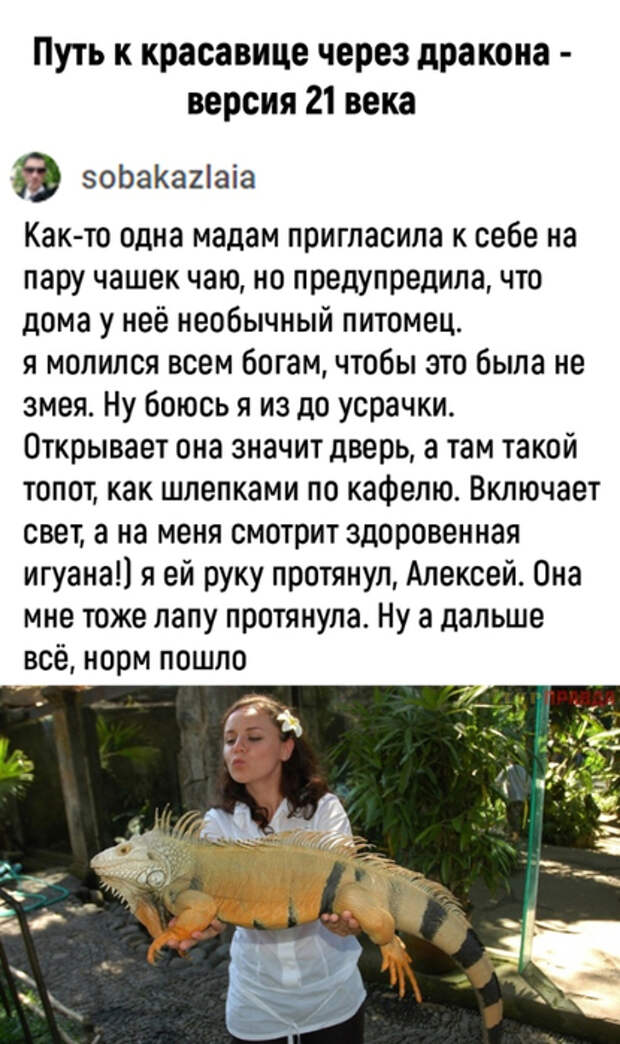 др (415x700, 236Kb)
