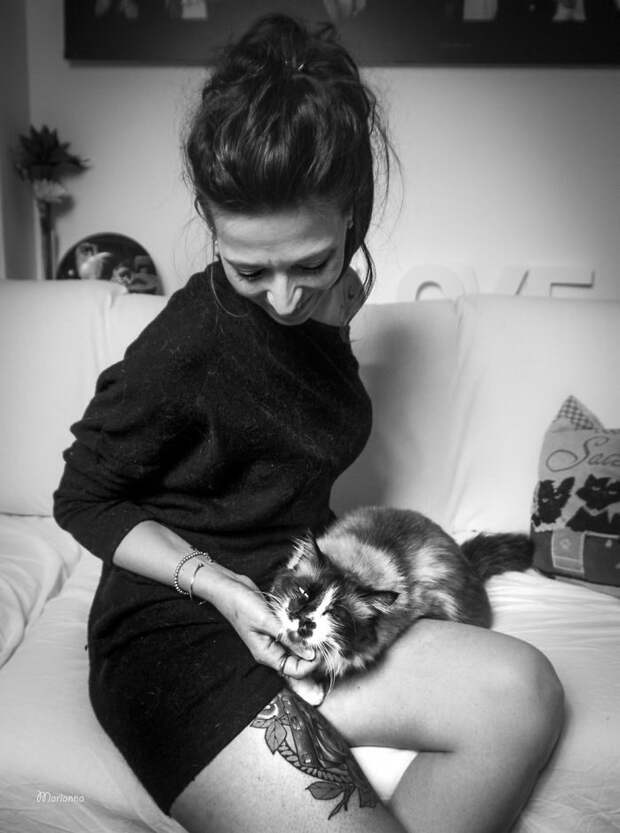 Счастливые кошки в фотографиях Marianna Zampieri