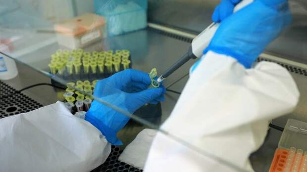 Медик в лаборатории / Фото: amic.ru