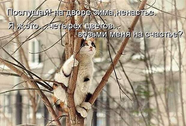 b8c0f79623607b2b632e762f860_prev