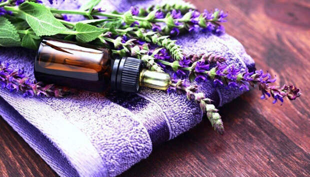 Эфироль лаванды стала средством быстрого заживления раны у французского ученого, чем вызвала у него большой интерес ко всем эфирным маслам/Фото:2housewives.ru Эфироль лаванды стала средством быстрого заживления раны у французского ученого, чем вызвала у него большой интерес ко всем эфирным маслам/Фото:2housewives.ru