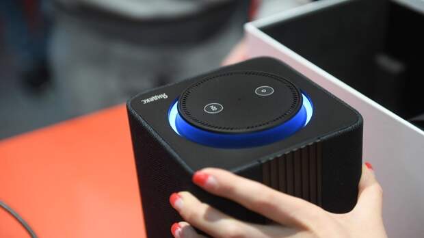 Глава СПЧ Фадеев призвал россиян не покупать умные колонки из-за мошенников