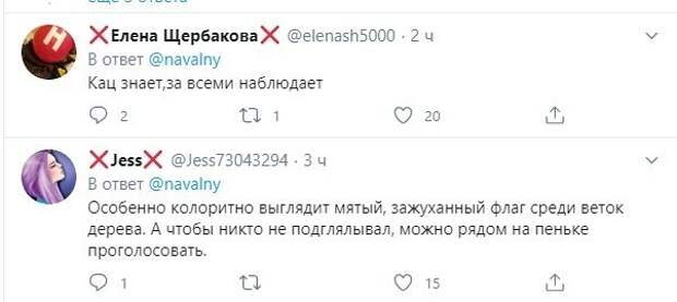 Политические картинки