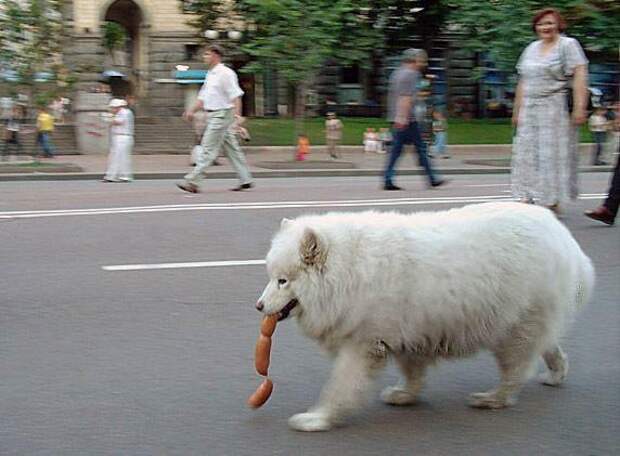 друзьям