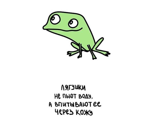 Любопытные коротенькие факты на все случаи жизни