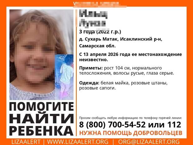 Под Самарой 200 волонтеров присоединились к поискам 3-летней девочки