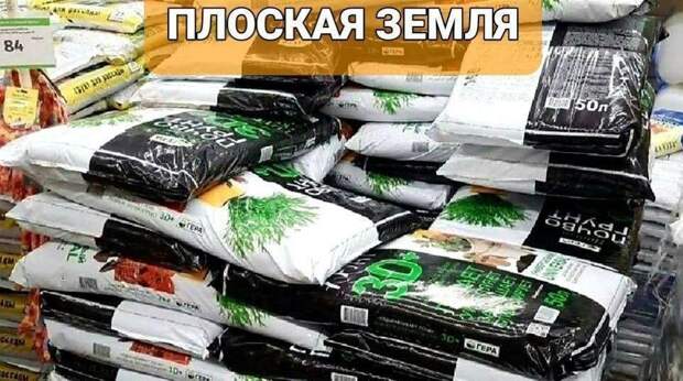 24 самые смешные картинки марта 2026 года и креветки кардинала