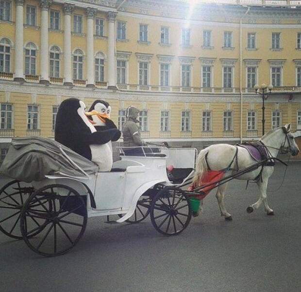 Прикольные фотки и картинки