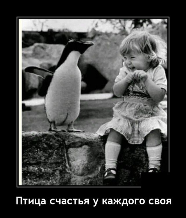 Демотиватор про счастье