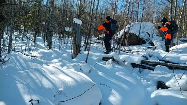 Спасатели не нашли семью Усольцевых в ходе повторных поисков