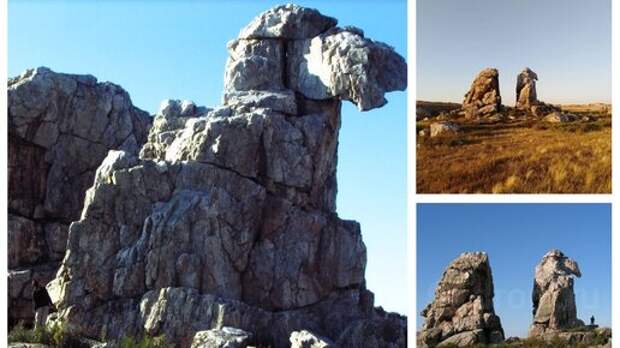 Если смотреть под правильным углом! 🐪Памятник "Скала Верблюд" в Светлинском районе Оренбургской области.