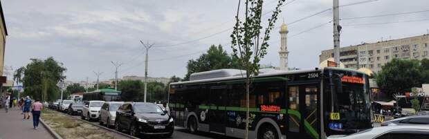 Улица засохших тополей. Молодые деревца продолжают гибнуть в Алматы