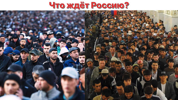 Коллаж автора 