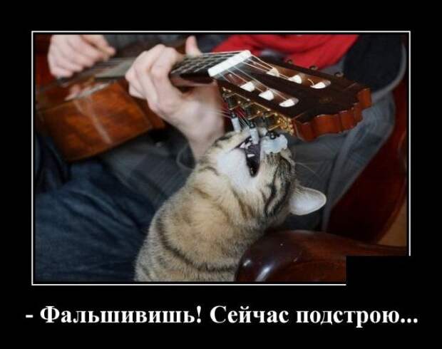 demotivatory-demotivator-smeshnye-demotivatory-demotivator-so-smyslom