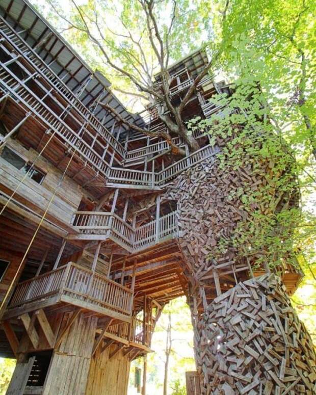 Священник своими руками построил 10-этажный дом на дереве
