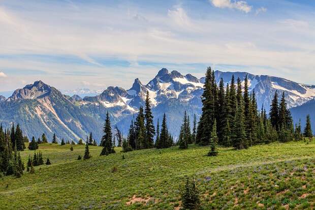 mount-rainier-national-park-10