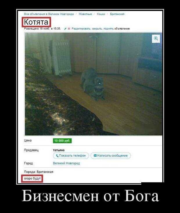 Демотиваторы (30 фото) Демотиваторы (30 фото)