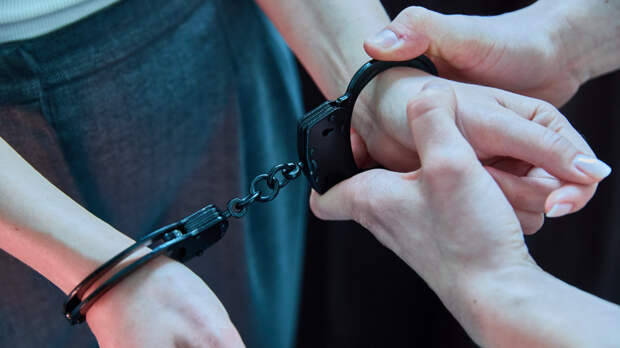 Ничего не знала? Задержана сообщница похитителя девятилетней девочки в Смоленске