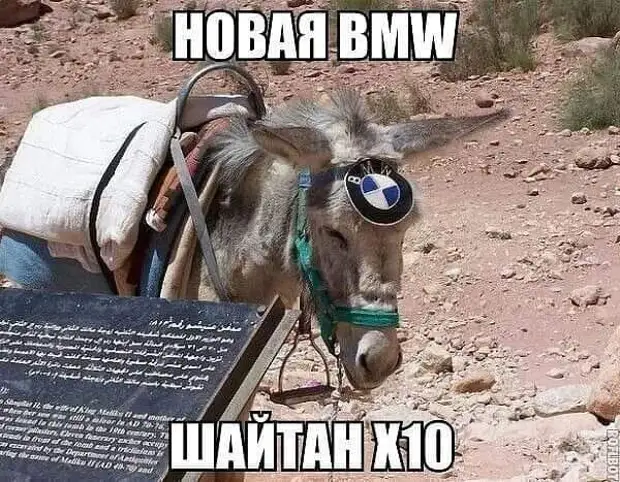 Если бы не колесико на мышке, у многих вообще не было бы никакой физической нагрузки Дальше, может, говорит, означать, блондинка, сумку, собака, подруге, берутся, только, женщина, рулем, сигнал, мужчина, повернуть, телеграфистки, заглядывает, Какая, протягивает, заполненный