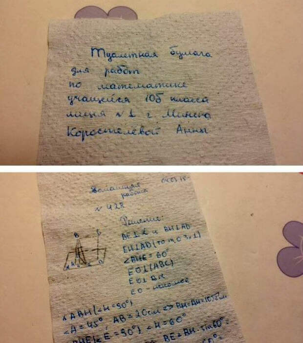Домашнее задание на туалетной бумаге.