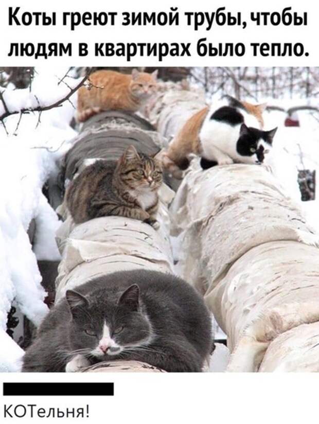 Котельня) Котельня)
