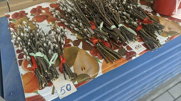 Сколько стоят веточки вербы на улицах Барнаула и как они подорожали за несколько лет?