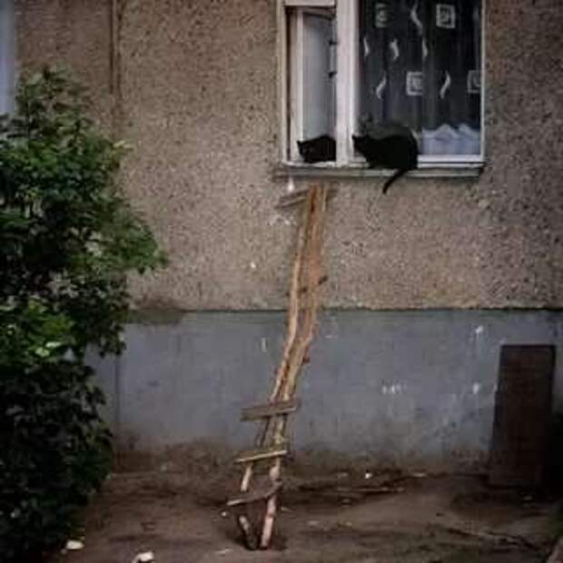 Строительные приколы ошибки и маразмы. Подборка chert-poberi-build-chert-poberi-build-14120427112020-11 картинка chert-poberi-build-14120427112020-11