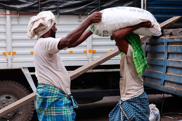 Экономист Николаев: мигранты в России будут заранее решать вопрос с работой детей
