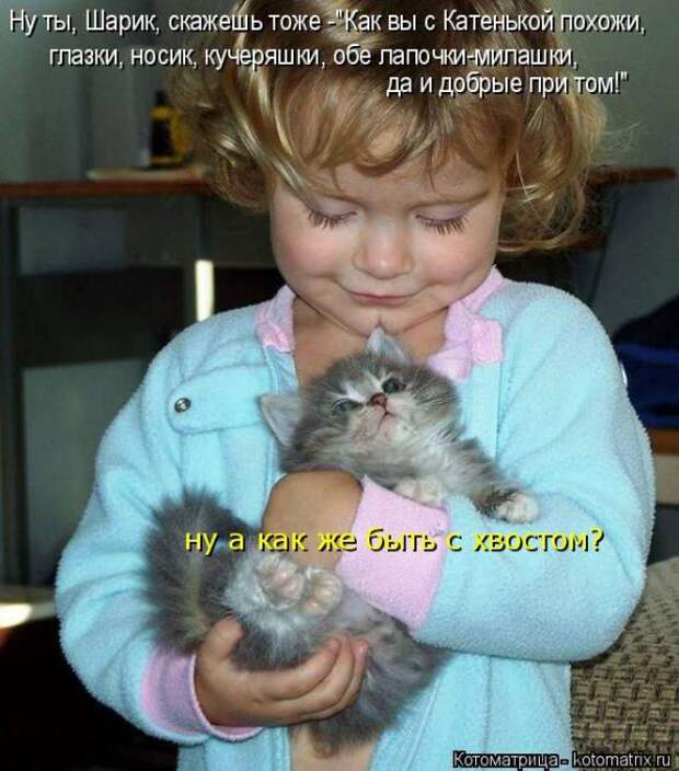 Котоматрицы(картинки с надписями)