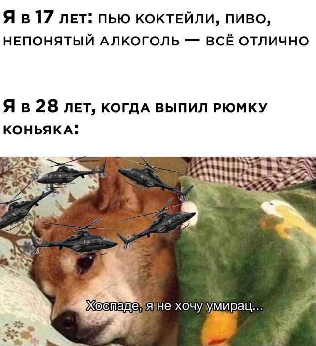 Смешные фото вечер 9 февраля 2021