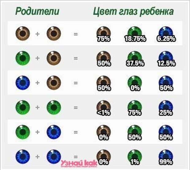 Глаза какого цвета будут у вашего ребенка?