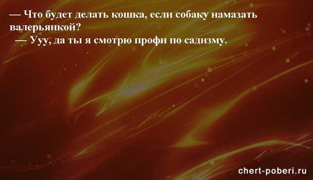 Самые смешные анекдоты ежедневная подборка chert-poberi-anekdoty-chert-poberi-anekdoty-07410521102020-14 картинка chert-poberi-anekdoty-07410521102020-14