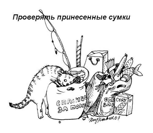 Кошачий пост жизнь кота, кот