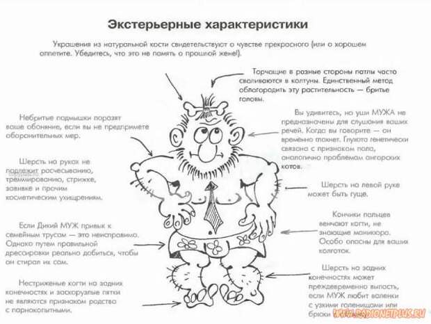 ВАШ МУЖ.