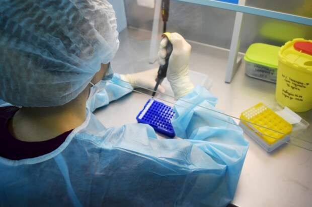 Никита Кологривый хочет снять кино о новосибирских ученых