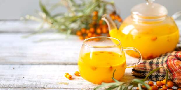 Облепиховый чай: кому он полезен, а кому противопоказан