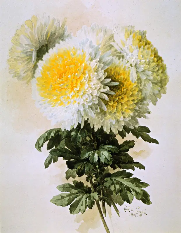Paul De Longpre     