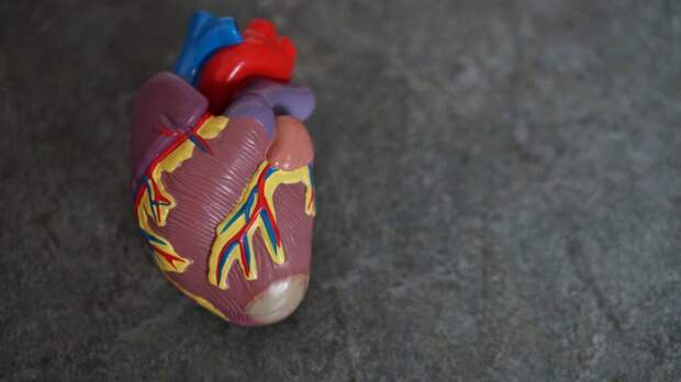 _сердце_смерть-1024x576 В Бразилии 15-летняя девочка умерла из-за пирсинга