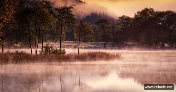 nature_005