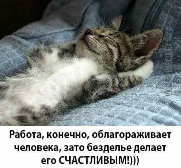 Клевые мемы (пятница)